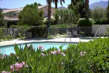 Swimming pool/spa