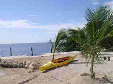 Free Kayaks!