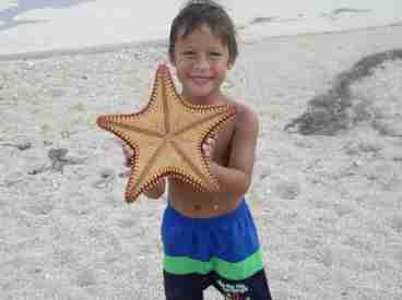 Sea Life!