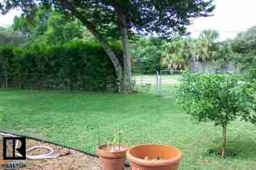 BACK YARD ON THE PINELLAS TRAIL.