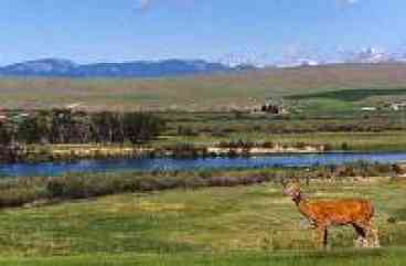 River Front Log Cabin on Ranch