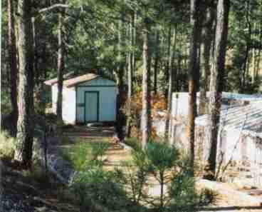 Forest Garden