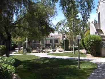 Pool and Grounds