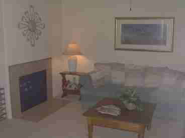 Living Room w/Fireplace