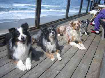 Some of our cuter guests!