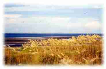 Pristine Beaches