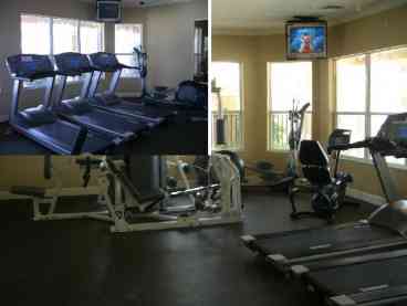 gym