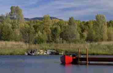 The pond