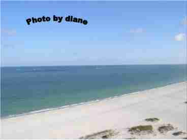 Beach View