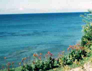 Sea