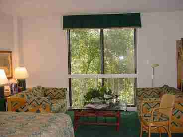 Living room area where you can relax or watch television.  The kitchen area is adjacent to the living room. There's a dining table also. 