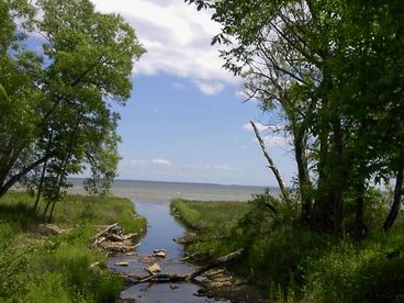Beattie Creek