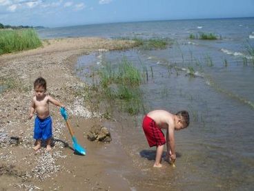 Fun at the Beach