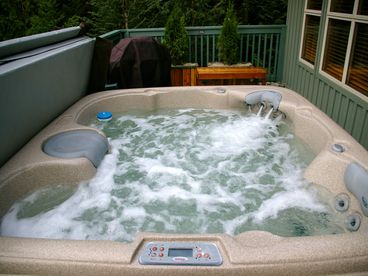 Enjoy our new (July 2009), large hot tub on our private patio. 