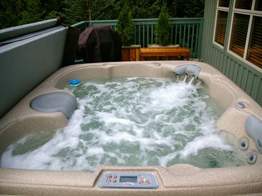 Enjoy our new (July 2009), large hot tub on our private patio. 