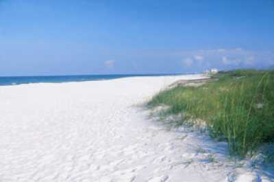 The pristine, uncrowded beaches of Cape San Blas, FL!  Ranked #1 by Dr. Beach  in 2002!  Just 150 steps from the front door!  DOG FRIENDLY BEACHES!