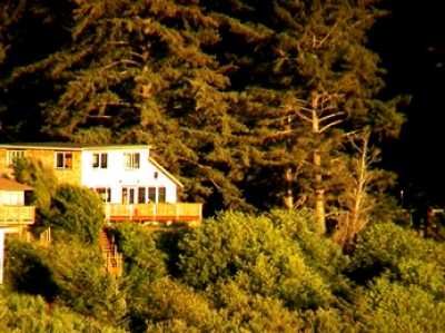 This is a view of the house in the trees, above the beach, taken with a telephoto lens from a cliff about 1/2 mile away.  We are the last house on a dead-end street.  The beach is directly below the house.  The view is great because the house is up high.