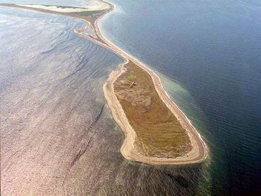 Dungeness Spit