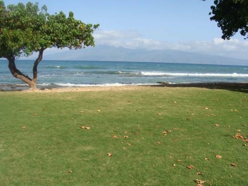 View Cozy Maui Condo near Kaanapali