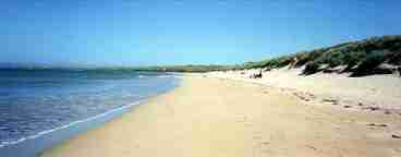 Local beach