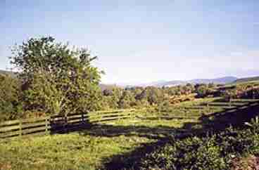 View towards the Spey Valley from the Drumbain Croft