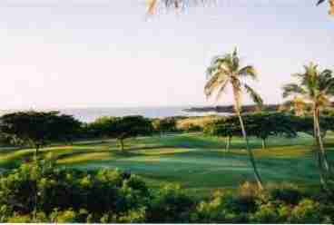 Golf Course