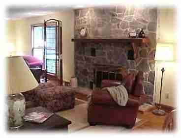 Living & Fireplace