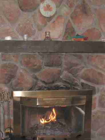 Wood-burning fireplace in our unit