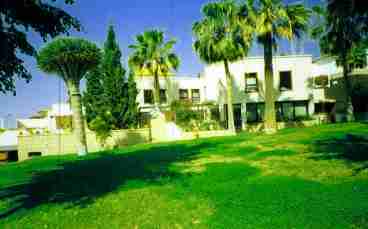 View on the garden