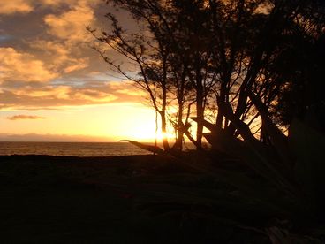 Oceanfront Paradise on the Edge of the Blue Pacific