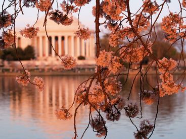 Jefferson Memorial