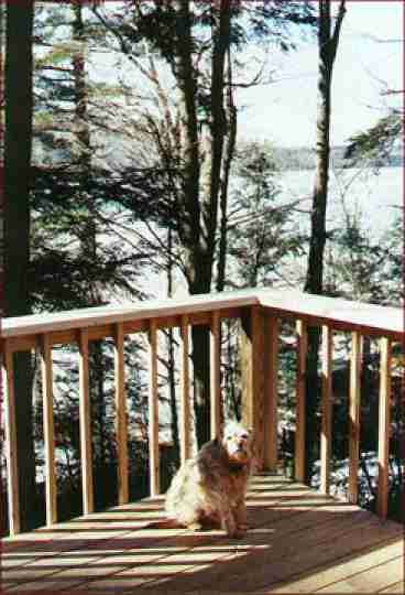 View from deck