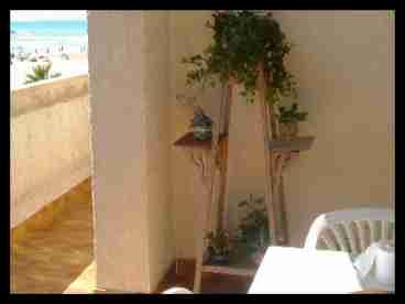 from the terrace
