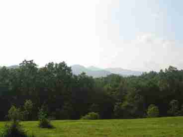 Front Porch View