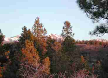 VIEW OF THE ROCKIES