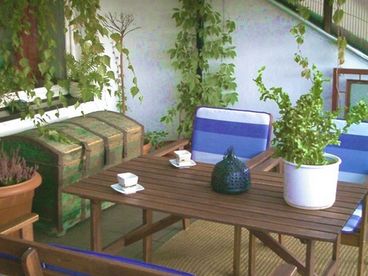 Green and spacious terrace with breathtaking view over the Vistula River