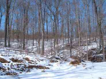 Winter View