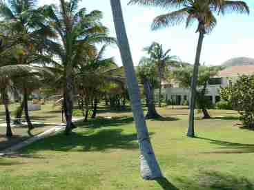 Paradise Village Grounds