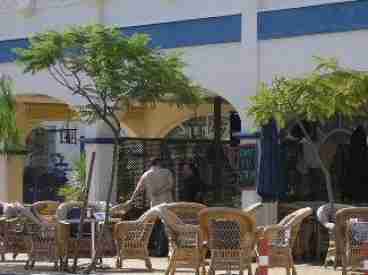 Cafe