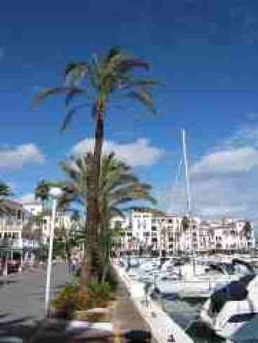 Port area