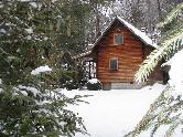 Snow in February