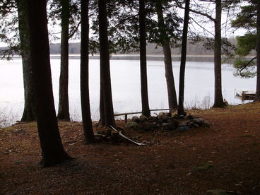 View of stream from enclosed porch.