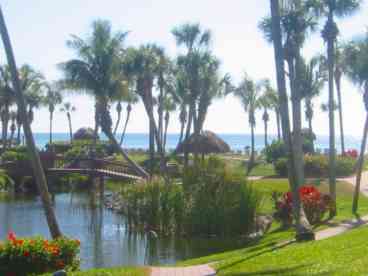 Patio View