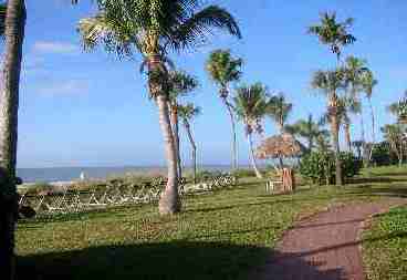 Beach Front Lounges