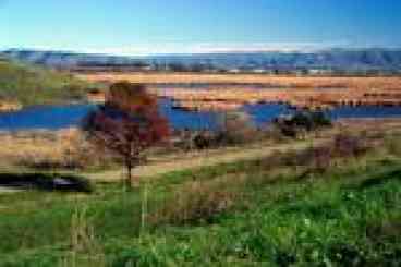 Coyote Hills