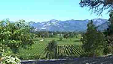 Napa Valley