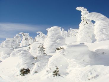 Snow Ghosts