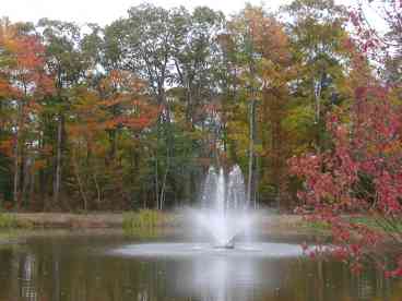 A lovely pond and fountain greet you as you leave the townhouse.