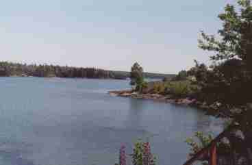 This is the view you have from the top of the stairs to the beach. Take the kayak out to explore Carney Island - the island you see in the cove.