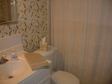 Guest Bath